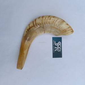 Shofar de Cuerno de Carnero Natural, Hecho a Mano, Pulido, Ecológico, Instrumento Ritual Judío de Alta Calidad para la Oración y Ceremonia de Rosh Hashaná - Product Image 4