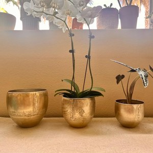 Maceta Moderna de Hierro, Contenedor Metálico Decorativo para Flores, Plantas, Hierbas y Arreglos de Suculentas - Product Image 2