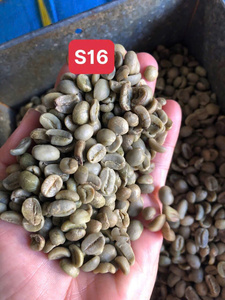 เมล็ดกาแฟอาราบิก้าออร์แกนิกเวียดนาม คัดเกรด 16 ไม่ใช่พืช GMO บริสุทธิ์จากธรรมชาติ คั่วได้ คุณภาพคงที่ เกรด GCB26 ความชื้น 12% - Product Image 3