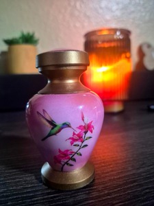 โกศบรรจุอัฐิสีชมพูรูปนกฮัมมิงเบิร์ด พร้อมฝาและฐานสีทอง ของที่ระลึกสำหรับผู้ใหญ่ โกศบรรจุอัฐิแบบคลาสสิกสำหรับบรรจุอัฐิมนุษย์ - Product Image 1