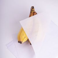 Papier semi-transparent résistant à la graisse de qualité alimentaire, papier sulfurisé pour la pâtisserie, les fruits, le pain et l'emballage alimentaire