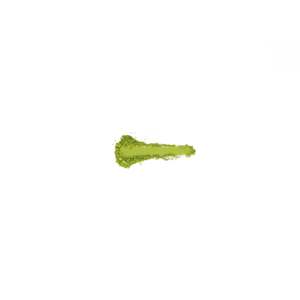 Matcha Cérémonial Biologique Mélange Réserve de Kagoshima - Product Image 2