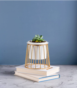 Gold Wire Succulent Planter Stand Set Indoor Tabletop Flower <b>Pot</b> <b>Holder</b> Modern Decorative Plant Display Rack - Product Image 2