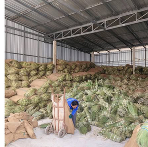 Grass Broom <b>Raw</b> <b>Material</b> For Making Head of Broom From Vietnam - Product Image 1