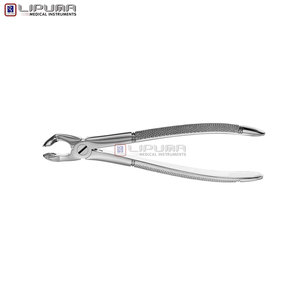 Pinzas de Extracción Tipo Berten PLUS 79 de Calidad Premium, Instrumento Dental de Extracción de Dientes de Acero Inoxidable Alemán de Grado Quirúrgico - Product Image 3