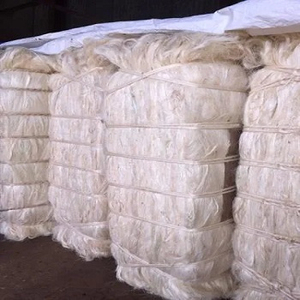 Fibra de Sisal Fresca al por Mayor, Calidad Premium, para Concreto y Hilado, para Pedidos B2B de Gran Volumen - Product Image 3