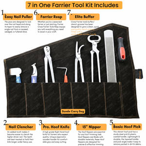Kit de herramientas para herradores al por mayor, equipo de alta resistencia, cuchillas alineadas, pinza para clavos, selección básica de pezuñas, instrumentos veterinarios, cuidado de pezuñas - Product Image 2