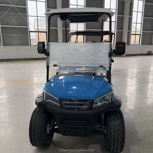 Carrito de Golf Eléctrico Auténtico de 2 Plazas con Asientos de Cuero Cómodos y Llantas de Aleación, Gran Oferta 2025 - Product Image 5