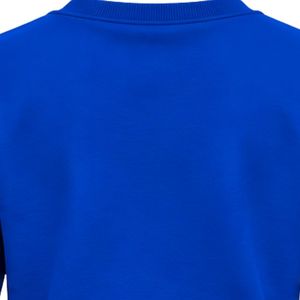 Sudadera con Cuello Redondo para Mujer Sigma Gamma Rho, Azul Rey, con Gráfico de Letras Griegas Personalizadas, Estilo Casual, para la Universidad, Moda Urbana - Product Image 3