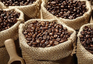 Tasse Fine Arabica Grains de Café Vert Robusta - Product Image 3