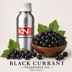 กลิ่นแบล็คเคอร์แรนท์ (Ribes nigrum) กลิ่นหอมติดทนนาน สำหรับเทียน สบู่ เครื่องสำอาง น้ำหอม ผู้ผลิตขายส่ง ผู้ส่งออกทั่วโลก - Product Image 1