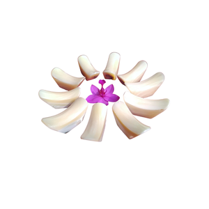 Support de repose-baguettes japonais style sushi, incroyable incrustation de perles, support de baguettes en forme de poisson et de fleur, forme ronde - Product Image 2