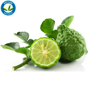 Aceite ESENCIAL DE MENTHA citrata indio natural puro 100% de alta calidad, aceite de fragancia más vendido de exportadores de confianza - Product Image 6
