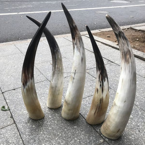 Cuerno Decorativo de Búfalo, Cuerno Largo Negro Natural con Cuerno Crudo de Buey y Vaca para Uso Decorativo en Puertas y Otros Usos por FWE - Product Image 4