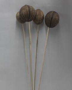 Bouquet décoratif de fleurs séchées Mintola en bâtonnets, matière première végétale naturelle, emballage en vrac pour mariage et décoration intérieure - Product Image 4