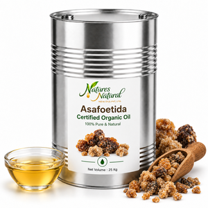 Huile d'Asafoetida Biologique Certifiée, Ingrédient Botanique Naturel pour les Formulations Cosmétiques, de Bien-être et de Soins Personnels, Fournisseur en Gros - Product Image 4