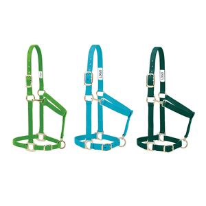 Red Nylon Horse <b>Halter</b> With Metal Buckles And Adjustable Straps For Equine Use - Product Image 5