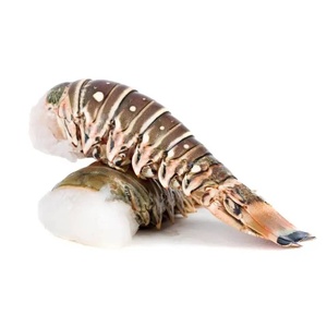 Live spiny lobster ทั้งอาหารทะเลสดใหม่ที่จับได้30ซม. บรรจุภัณฑ์สำหรับร้านอาหาร - Product Image 1
