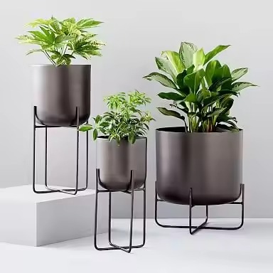 COMME ILLUSTRÉ