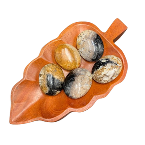 Pierre de palmier naturelle de qualité supérieure – Pierre de guérison polie à motif oculaire unique 45x35x15 mm - Product Image 1