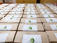 Pailles en roseau 100% naturelles et biodégradables, certifiées Green Future, pour diamètres de 13 à 20 cm, 5 à 8 mm, accessoires écologiques