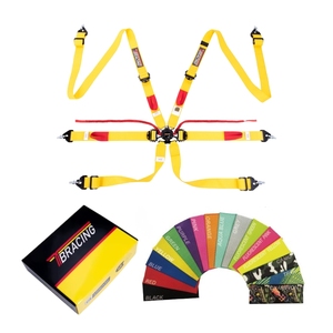 Arnés de Carreras SPORT PLUS 3 de 6 Puntos, Homologado por la FIA, Cinturón de Seguridad para Automovilismo Profesional, Color Personalizado, Fabricación OEM/ODM - Product Image 2