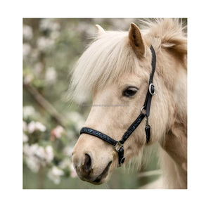 Cabestro de caballo de cuero inglés clásico de alta calidad con hebilla de latón negro sobre diseño elegante de cuero indio - Product Image 1