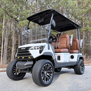 Carrito de Golf Eléctrico Elevado de 2, 4, 6, 8 Plazas, 4x4, Gasolina, Todoterreno, Color Dorado, Diseño Personalizado, Precio Bajo - Product Image 4
