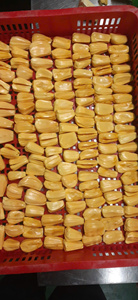 Jacas Deshidratadas (Fruto Seco de Jaca) Bajo en Humedad - Exportador de Vietnam - CARYLN - Product Image 3