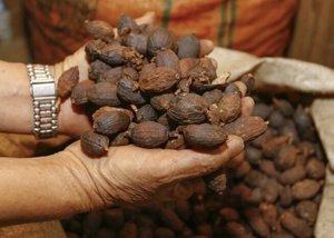 Dried Vietnamese Black Cardamom-VIET DELTA Brand 100% Natural 12-Month Shelf Life Great Prices Exceptional Quality - Product Image 4