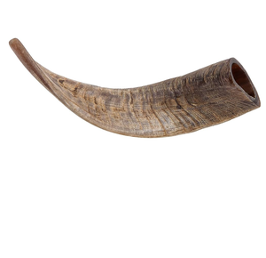 Corne à boire en corne de buffle de qualité supérieure, style Viking, exportateur en gros de cornes de buffle, nouveau style, corne à boire faite à la main - Product Image 1