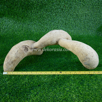 Décoration d'enclos pour reptiles en racine de bambou sculptée, naturelle et faite à la main, pour jungle d'animaux, vivarium, cachette, taille personnalisée, décoration intérieure pour animaux