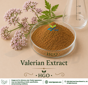 Suministro Directo de Fábrica HGO, Extracto de Valeriana (Valeriana officinalis L.) (Grado Alimenticio) (Extracto en Proporción) 4:1 5:1 10:1 20:1 100:1 200:1 - Product Image 1