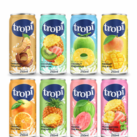 250ml Private Label Vietnam Gratis Sample Design Tropisch Fruit Sap met smaak van sinaasappel, appel, ananas, mango, suikerriet en watermeloen