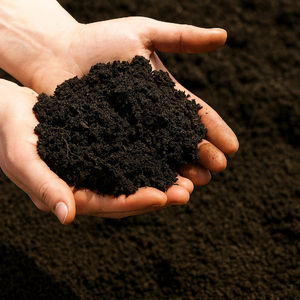 Marca Privada OEM |   Personalización Rápida |   Estiércol de Vaca Orgánico en Polvo y Vermicompost al por Mayor |   Mejor uso en horticultura para los Emiratos Árabes Unidos - Product Image 5