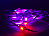 Lumière ponctuelle à pixels RVB d'extérieur, lumières de Noël LED de 25 mm pour les gouttières, indice de protection IP67 pour les applications paysagères, installation permanente