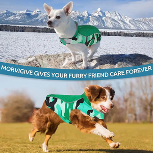 Últimos Modelos de Abrigos para Perros al por Mayor, Nuevo Diseño, Suaves, Cálidos, Duraderos, Ligeros, Verdes, Ajustables, Chaquetas para Perros - Product Image 2