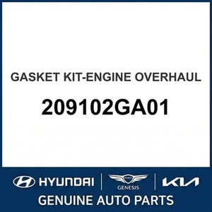 โซนาต้า ปะเก็นและซีลใหม่ 209102GA01 - Product Image 1