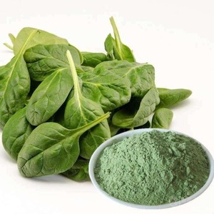 Polvo de extracto de hierbas de espinaca de grado alimenticio en embalaje de tambor Producto de extracto de planta Premium - Product Image 3