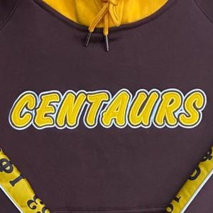 เสื้อฮู้ดทรงสอบตัวรุ่น Iota Phi Theta สีน้ำตาลทอง พรีเมียม แบรนด์ Centaurs เสื้อผ้ากรีกสำหรับสมาคมนักศึกษา ดีไซน์ทันสมัย - Product Image 3