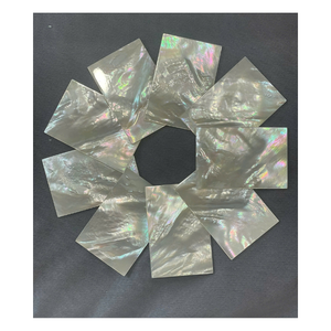 Láminas de Concha de Abulón Crudo Rectangulares Irregulares con Brillo Pulido, Paneles Artesanales con Tema Floral para Decoración del Hogar DIY, Regalo Empresarial - Product Image 6