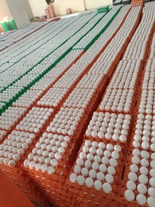 ไข่ไก่สดจากฟาร์ม เกรดพรีเมียม สีขาวและสีน้ำตาล ปี 2026 อายุการเก็บรักษา 24 เดือน ราคาดีที่สุด ขายส่ง - Product Image 4
