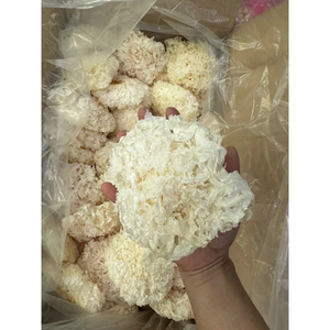 White Fungus Naturally Dried Tremella Mushroom for Culinary Soup <b>Dessert</b> Use from Vietnam - Product Image 1