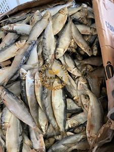 Vente en gros de hareng séché sprats sardinelle bon prix anchois avec un excellent goût séché au soleil poisson pour animaux de compagnie du Vietnam - Product Image 4