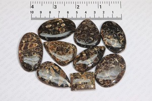 Magnifique agate Turritella, pierre précieuse, taille personnalisable, cabochon d'agate Turritella en vrac, formes variées pour la création de bijoux - Product Image 6