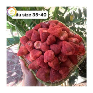 สตรอว์เบอร์รีอบแห้งทั้งลูก กรอบ หวานธรรมชาติ ขนมผลไม้เบอร์รี สำหรับทำเบเกอรี่และโรยหน้า - Product Image 3