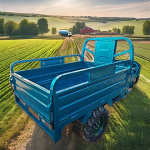 三轮成人电动货运农用三轮车 60V 热销乡村道路运输货物小型电动三轮车 - Product Image 4