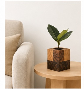 Jardinière cubique en bois de manguier, artisanale, moderne et luxueuse, écologique, bicolore, géométrique, pour bureau, personnalisable, vente en gros - Product Image 2