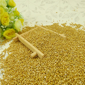 Nouvel Arrivage Vente en Gros Millet de Qualité Supérieure Qualité Alimentaire Prêt à Expédier Meilleures Ventes Export - Product Image 6