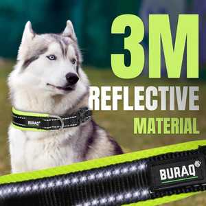 Premium Soft Padded Dog <b>Collar</b> OEM ODM Custom Logo Adjustable Reflective Pet <b>Collar</b> Direct Manufacturer - Product Image 2